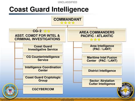 Coast Guard Intelligence Officer Requirements